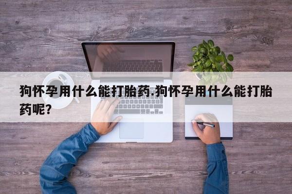药流药购买方式狗怀孕用什么能打胎药.狗怀孕用什么能打胎药呢？