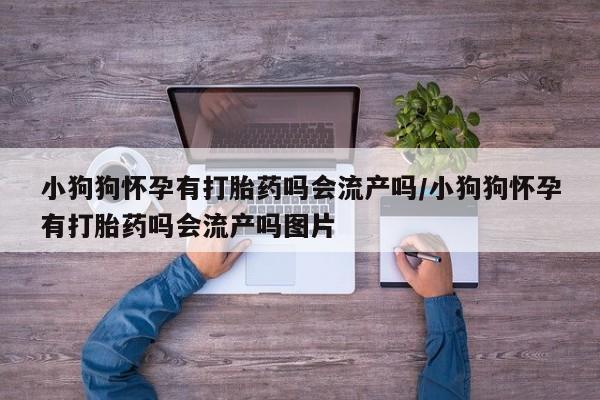 药流药购买方式小狗狗怀孕有打胎药吗会流产吗/小狗狗怀孕有打胎药吗会流产吗图片