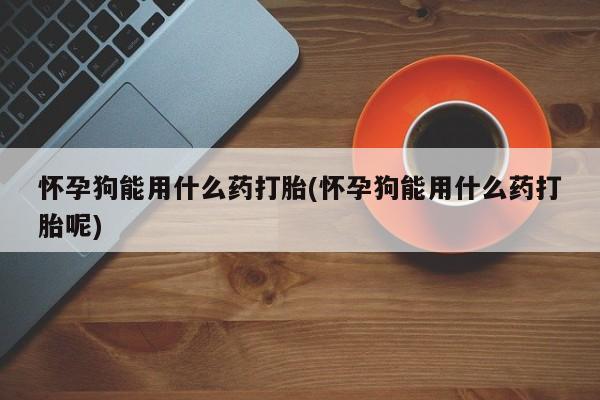 药流药购买方式怀孕狗能用什么药打胎(怀孕狗能用什么药打胎呢)